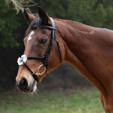 Hy Equestrian Mexican Grackle Bridle with Rubber Grip Reins