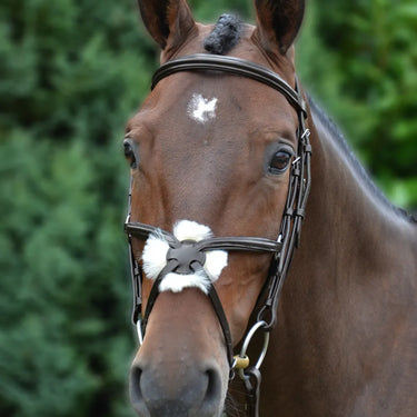 Hy Equestrian Mexican Grackle Bridle with Rubber Grip Reins