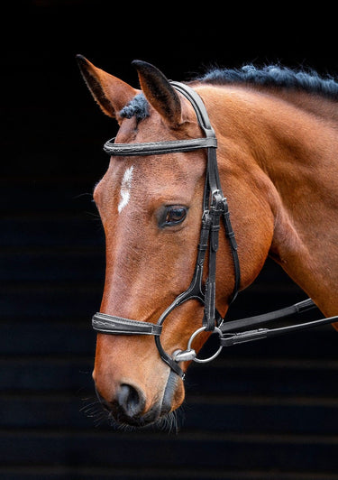 Buy Shires Salisbury Brampton Bridle | Online for Equine