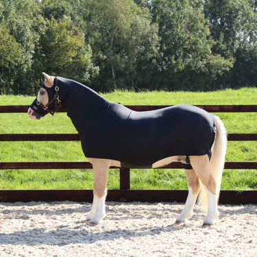 Buy Supreme Products Body Wrap| Online for Equine