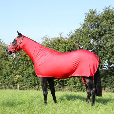 Buy Supreme Products Body Wrap| Online for Equine