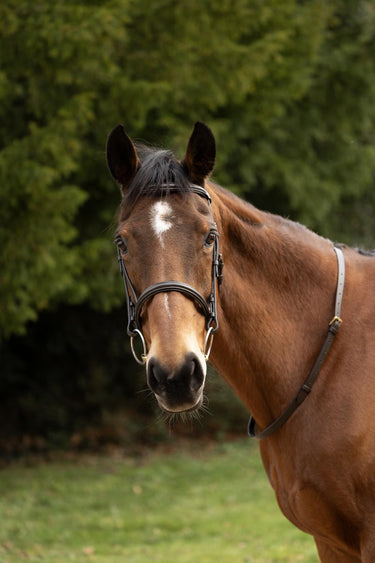 Hy Equestrian Leather Neck Strap