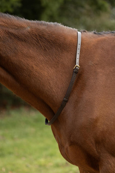 Hy Equestrian Leather Neck Strap