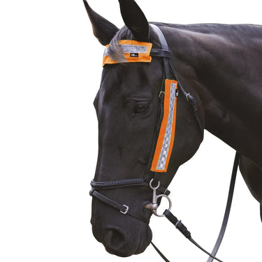 HyVIZ Bridle Set by Hy Equestrian