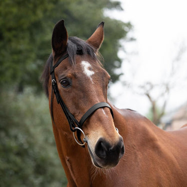 Hy Equestrian Hunter Bridle with Rubber Grip Reins