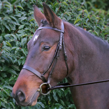 Hy Equestrian Hunter Bridle with Rubber Grip Reins