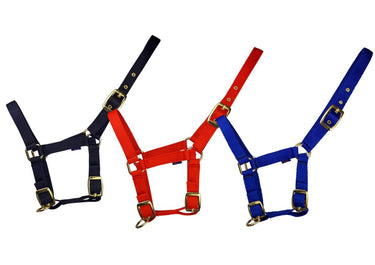 Cameo Equine Navy Foal Headcollar