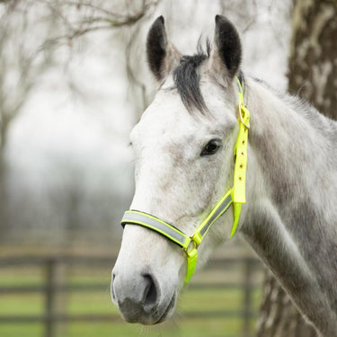 Hy Equestrian Reflective Fieldsafe Head Collar