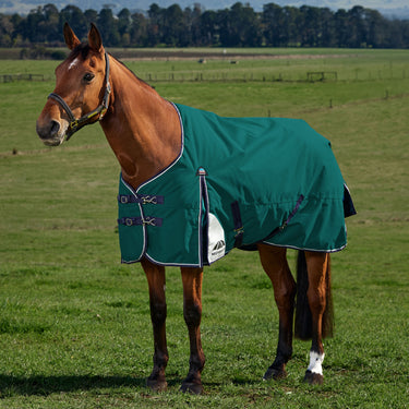 Weatherbeeta Comfitec Plus Dynamic Turnout 220G Forest Green/ Navy