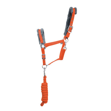 HY Sport Active Head Collar & Lead Rope