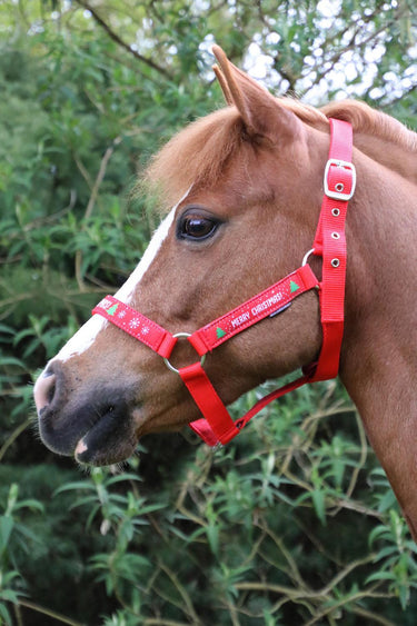 Hy Equestrian Merry Christmas Head Collar & Lead Rope