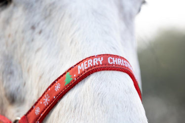 Hy Equestrian Merry Christmas Head Collar & Lead Rope