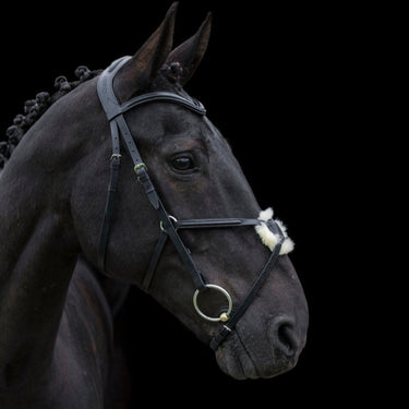 Cameo Equine Black Anatomic Grackle Bridle