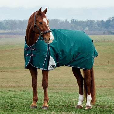 Weatherbeeta Comfitec Plus Dynamic Turnout High Neck 220G