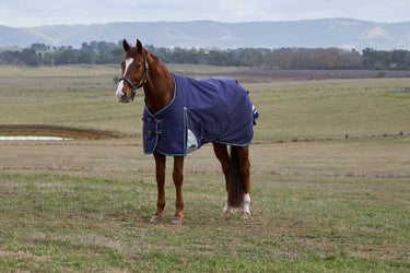 Weatherbeeta Comfitec Plus Dynamic Turnout 0G Navy/ Forest Green