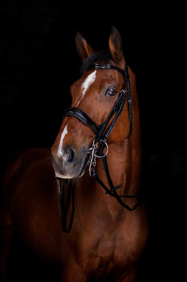Eric Thomas Elite Plain Reins 16 Mm