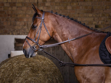 Riding World Rubber Side Reins