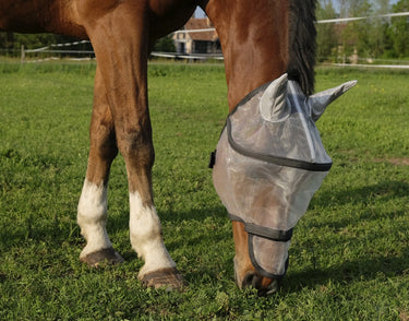 Buy Equi-Theme Protector Dome Plus Fly Mask | Online for Equine