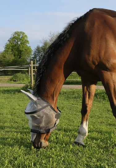 Buy Equi-Theme Protector Dome Plus Fly Mask | Online for Equine