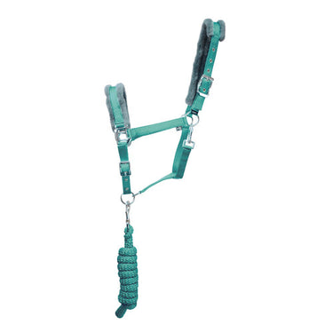 Buy HY Sport Active Head Collar & Lead Rope| Online for Equine