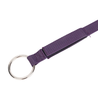 Shires Purple ARMA Breakaway Tie