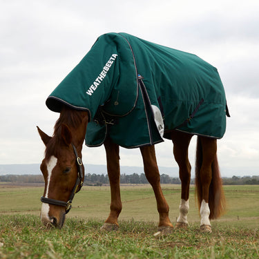 Weatherbeeta Comfitec Plus Dynamic Turnout Detach-A-Neck 220G