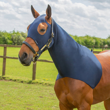 Hy Equestrian Lycra Flex Hood