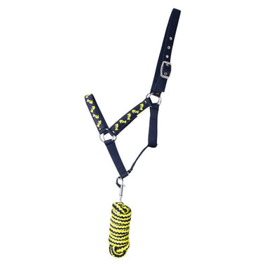 Buy Lancelot Head Collar & Lead Rope by Little Knight | Online for Equine