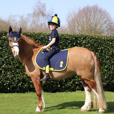 Buy Lancelot Saddle Pad by Little Knight| Online for Equine