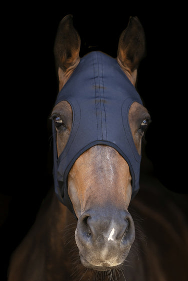 Buy Lami-Cell Titanium Earless Hood | Online for Equine