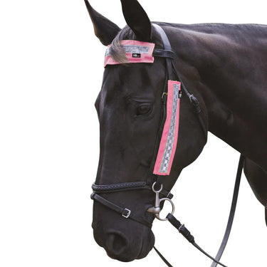 HyVIZ Bridle Set by Hy Equestrian