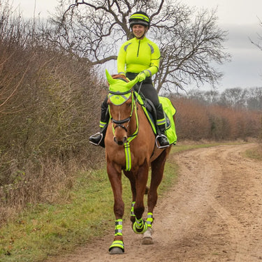 Reflector Martingale by Hy Equestrian