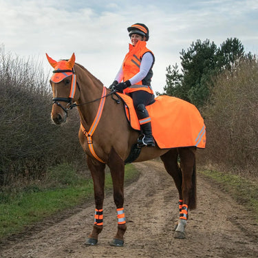 Reflector Martingale by Hy Equestrian