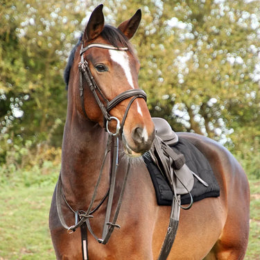 Hy Equestrian Rosciano Rose Gold Martingale