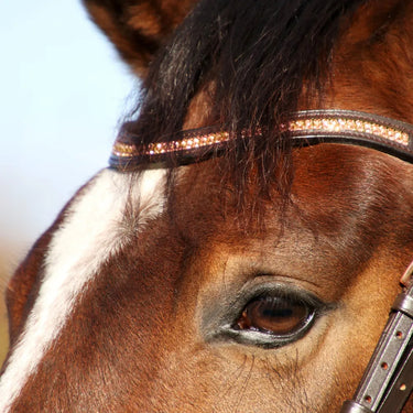 Hy Equestrian Rosciano Rose Gold Browband