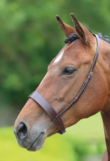 Shires Velociti GARA Hunter Cavesson Noseband