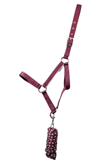 Hy Equestrian Synergy Head Collar & Lead Rope Fig/ Silver