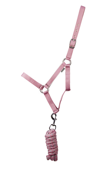 Hy Equestrian Synergy Head Collar & Lead Rope Grape/ Silver