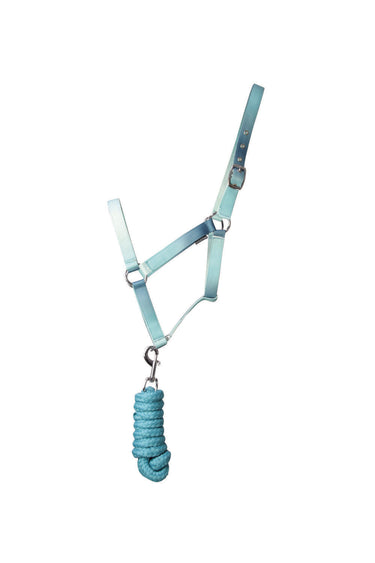 Hy Equestrian Ombre Head Collar & Lead Rope