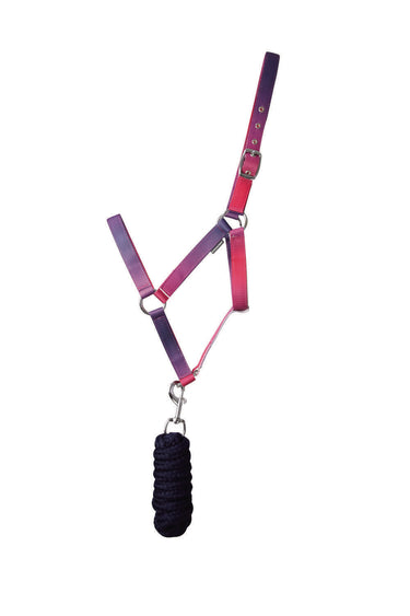 Hy Equestrian Ombre Head Collar & Lead Rope