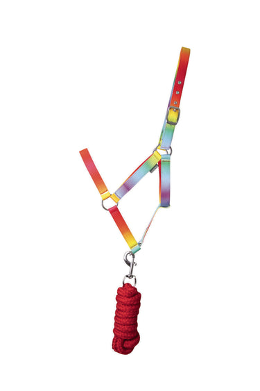 Hy Equestrian Ombre Head Collar & Lead Rope