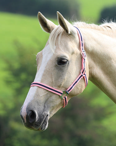 Buy Shires Wessex Nylon Headcollars| Online for Equine