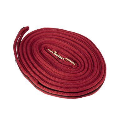 Hy Equestrian Soft Webbing Lunge Rein