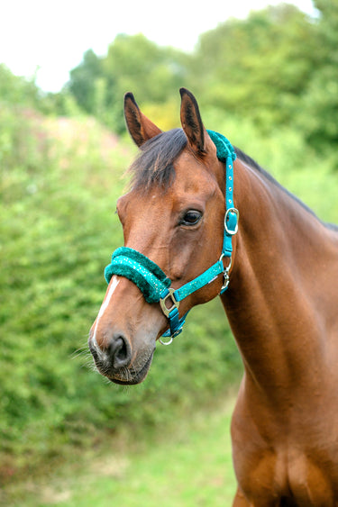 Hy Equestrian Dazzle Head Collar