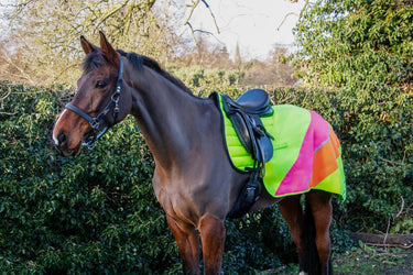 Reflector Quarter Mesh Exercise Sheet by Hy Equestrian