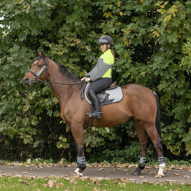 Silva Flash Reflective Leg Band by Hy Equestrian