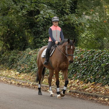 Silva Flash Reflective Leg Band by Hy Equestrian