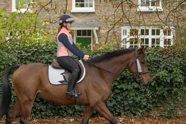 Silva Flash Reflective Bridle Set by Hy Equestrian