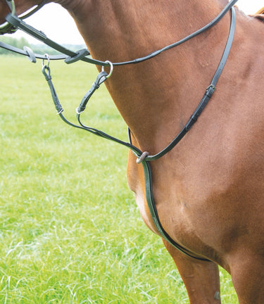 Buy Shires Avignon Running Martingale | Online for Equine