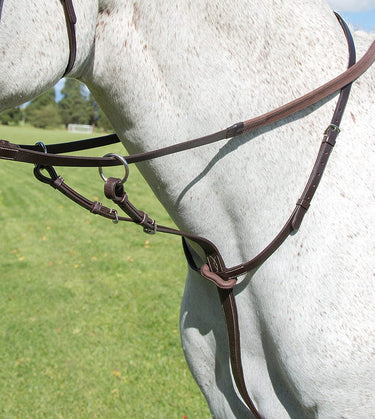 Buy Shires Avignon Running Martingale | Online for Equine
